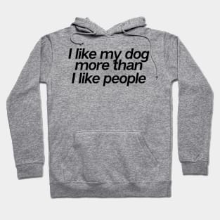 I Like My Dog More Than You Hoodie